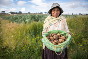 Bolivia_agricultura